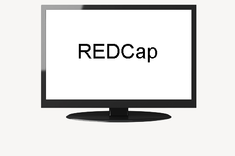 REDCap system