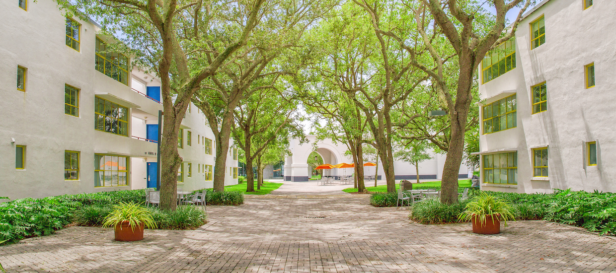 trees-lining-architecture-courtyard.jpg