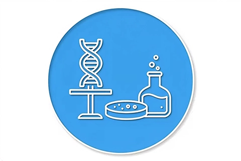 Research Mentoring Events